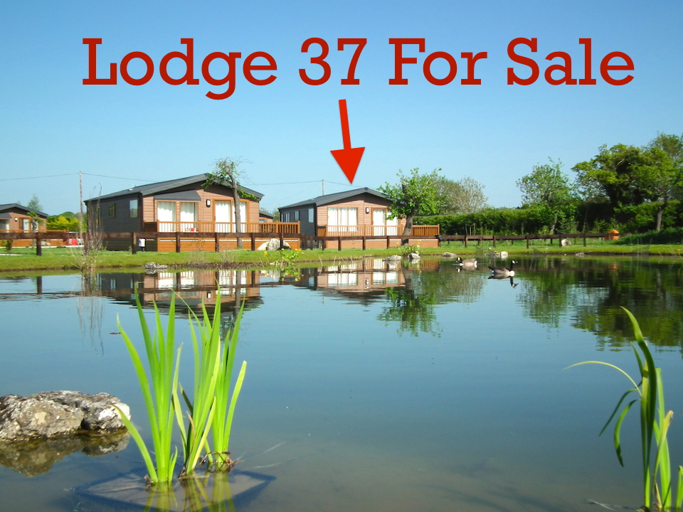 2018 Willerby Clearwater lodge on Oakmere Lodge Park